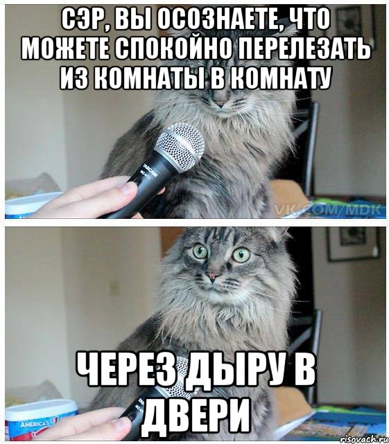 Сэр, вы осознаете, что можете спокойно перелезать из комнаты в комнату Через дыру в двери, Комикс  кот с микрофоном