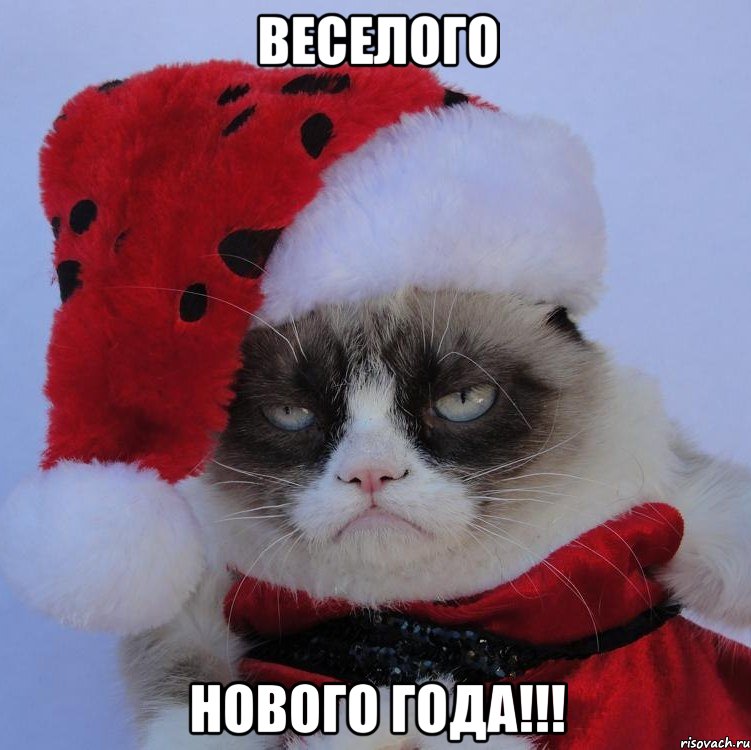 ВЕСЕЛОГО НОВОГО ГОДА!!!, Мем   С нг кароч