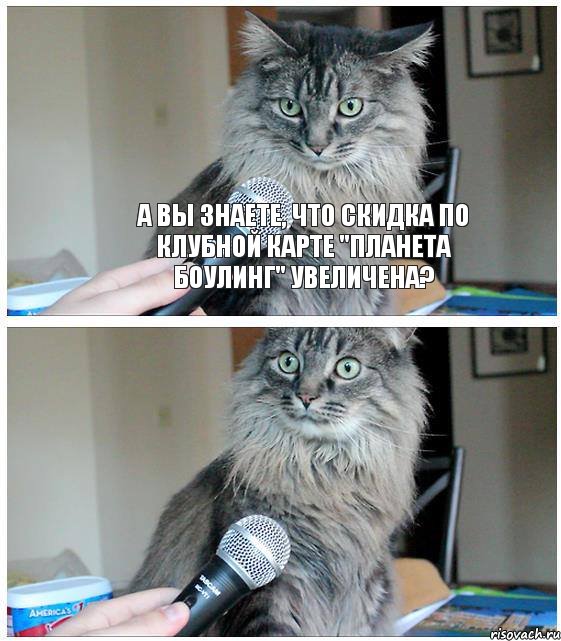 А вы знаете, что скидка по клубной карте "Планета Боулинг" увеличена?, Комикс  кот с микрофоном