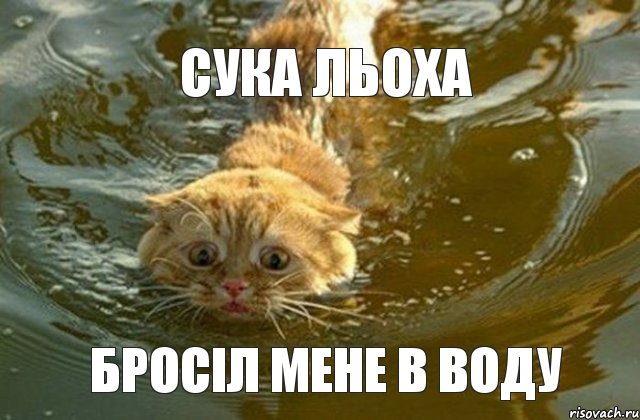 СУКА ЛЬОХА БРОСІЛ МЕНЕ В ВОДУ, Комикс Котэ плывет