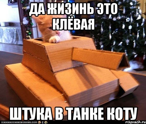 ДА ЖИЗИНЬ ЭТО КЛЁВАЯ ШТУКА В ТАНКЕ КОТУ, Мем Котэ танкист