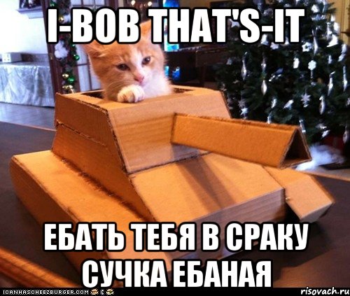 I-Bob That's-It ебать тебя в сраку сучка ебаная, Мем Котэ танкист