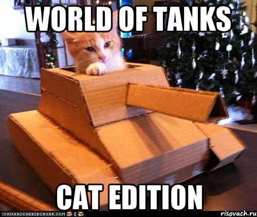 world of tanks cat edition