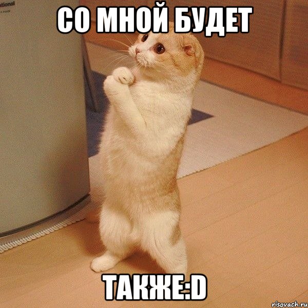 со мной будет ТАКЖЕ:D, Мем  котэ молится