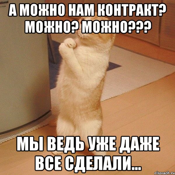 А можно нам контракт? Можно? Можно??? Мы ведь уже даже все сделали..., Мем  котэ молится