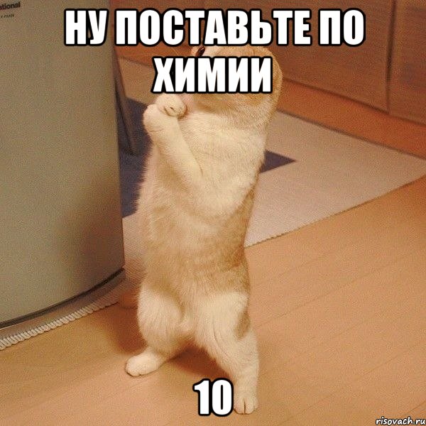 Ну поставьте по Химии 10, Мем  котэ молится