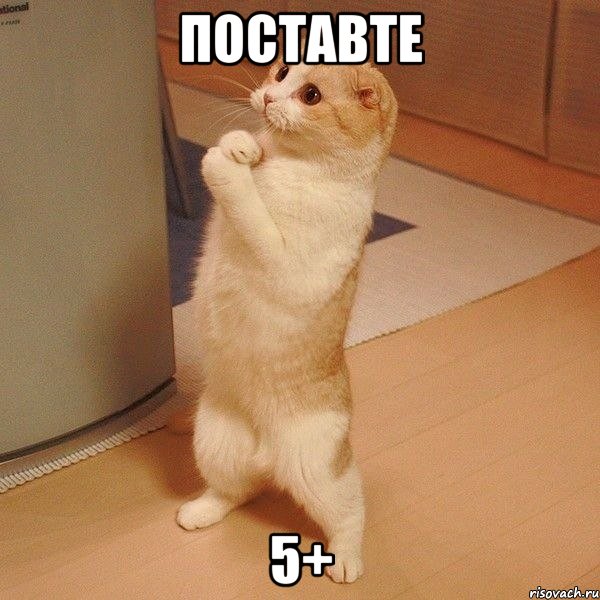 Поставте 5+