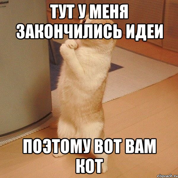 Тут у меня закончились идеи поэтому вот вам кот, Мем  котэ молится