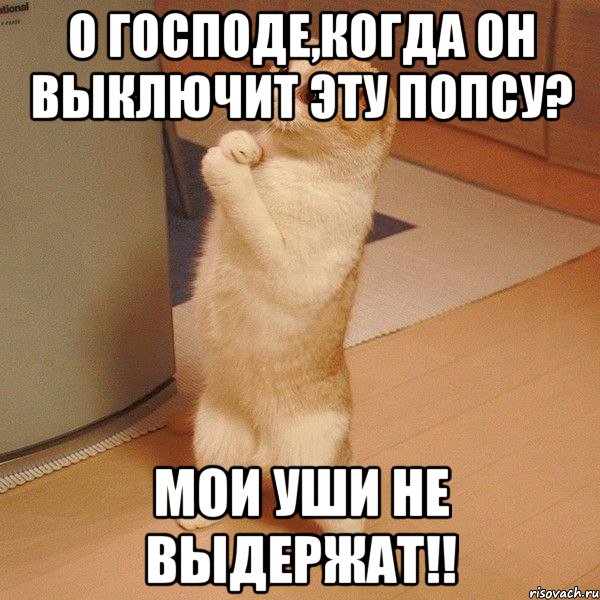 о господе,когда он выключит эту попсу? мои уши не выдержат!!, Мем  котэ молится