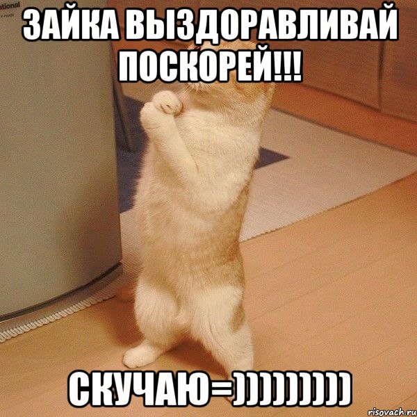 Зайка выздоравливай поскорей!!! Скучаю=))))))))), Мем  котэ молится