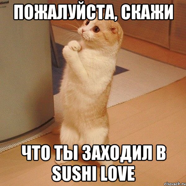 ПОЖАЛУЙСТА, СКАЖИ ЧТО ТЫ ЗАХОДИЛ В SUSHI LOVE, Мем  котэ молится