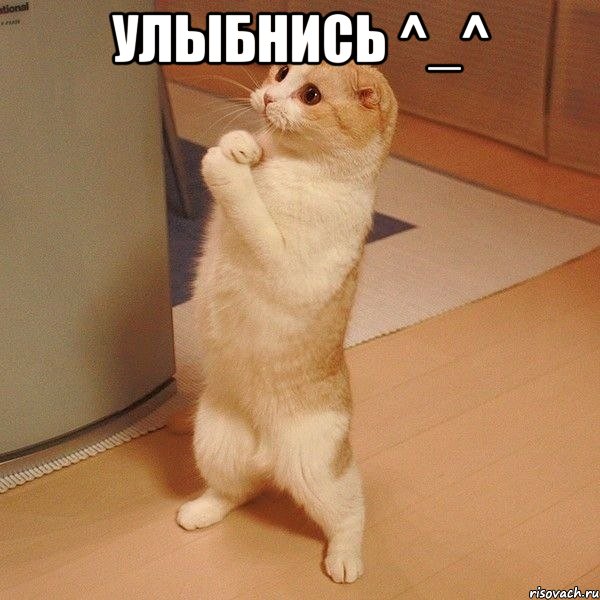 улыбнись ^_^ , Мем  котэ молится