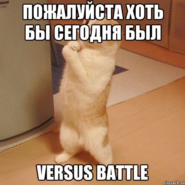 ПОЖАЛУЙСТА ХОТЬ БЫ СЕГОДНЯ БЫЛ VERSUS BATTLE, Мем  котэ молится