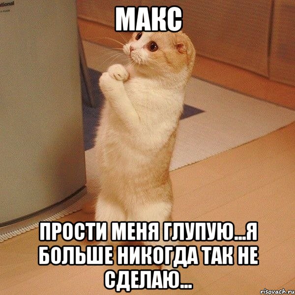 Макс Прости меня глупую...Я больше никогда так не сделаю..., Мем  котэ молится