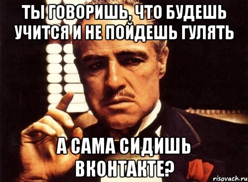 Ты говоришь, что будешь учится и не пойдешь гулять А сама сидишь вконтакте?, Мем крестный отец