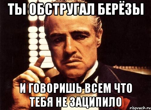 ТЫ ОБСТРУГАЛ БЕРЁЗЫ И ГОВОРИШЬ ВСЕМ ЧТО ТЕБЯ НЕ ЗАЦИПИЛО, Мем крестный отец