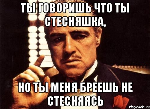 ты говоришь что ты стесняшка, но ты меня бреешь не стесняясь, Мем крестный отец