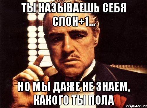 ТЫ НАЗЫВАЕШЬ СЕБЯ СЛОН+1... НО МЫ ДАЖЕ НЕ ЗНАЕМ, КАКОГО ТЫ ПОЛА, Мем крестный отец