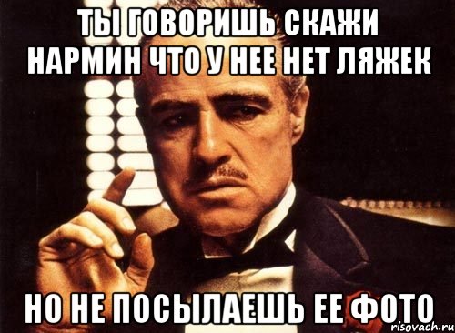 Ты говоришь скажи Нармин что у нее нет ляжек Но не посылаешь ее фото, Мем крестный отец