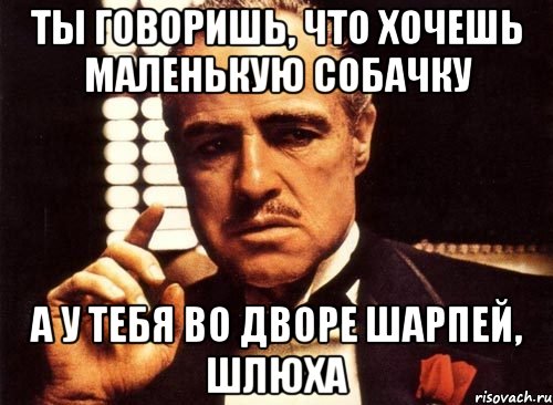 Ты говоришь, что хочешь маленькую собачку А у тебя во дворе шарпей, шлюха, Мем крестный отец