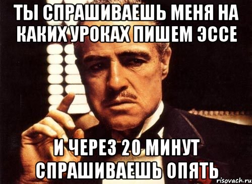 ты спрашиваешь меня на каких уроках пишем эссе и через 20 минут спрашиваешь опять, Мем крестный отец