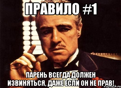 Правило #1 Парень всегда должен извиняться, даже если он не прав!, Мем крестный отец