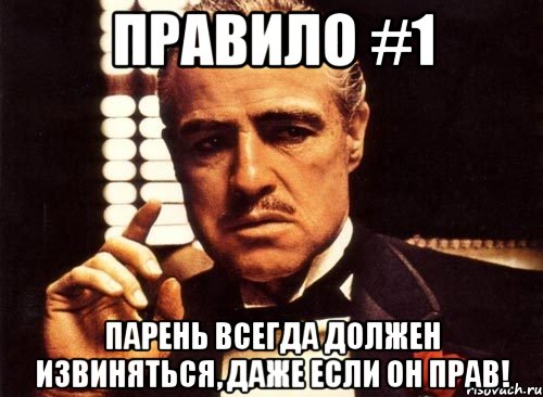 Правило #1 Парень всегда должен извиняться, даже если он прав!, Мем крестный отец