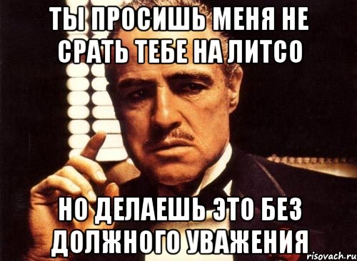 ты просишь меня не срать тебе на литсо но делаешь это без должного уважения, Мем крестный отец