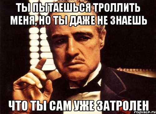 ты пытаешься троллить меня, но ты даже не знаешь что ты сам уже затролен, Мем крестный отец