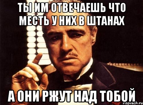 ты им отвечаешь что месть у них в штанах а они ржут над тобой, Мем крестный отец