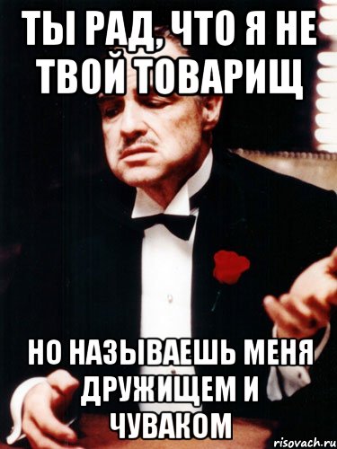 Ты рад, что я не твой товарищ Но называешь меня дружищем и чуваком, Мем ты делаешь это без уважения