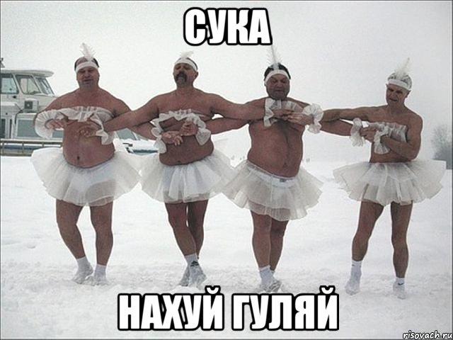 сука нахуй гуляй, Мем Лебединное озеро