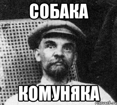 Собака Комуняка, Мем   Ленин удивлен