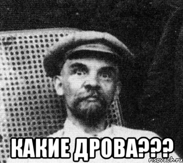  Какие дрова???, Мем   Ленин удивлен