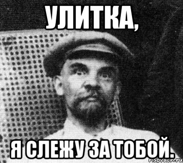 улитка, я слежу за тобой., Мем   Ленин удивлен