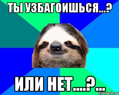 Ты узбагоишься...? Или НЕТ....?..., Мем Ленивец