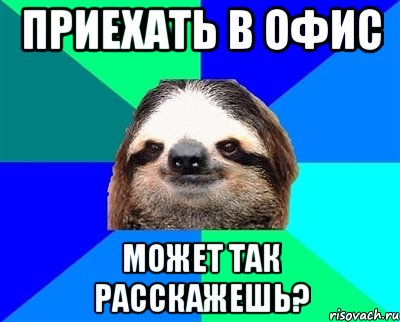 приехать в офис может так расскажешь?
