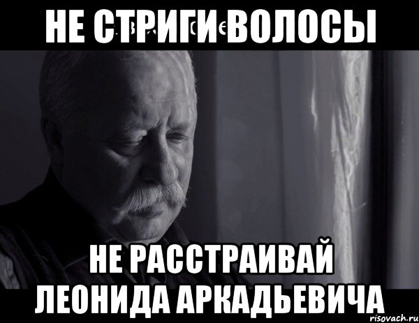 не стриги волосы не расстраивай леонида аркадьевича, Мем Не расстраивай Леонида Аркадьевича