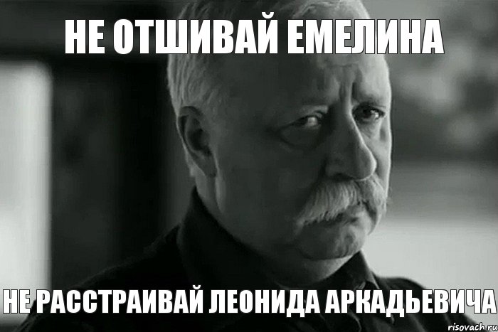 Не отшивай Емелина Не расстраивай Леонида Аркадьевича, Мем Не расстраивай Леонида Аркадьевича