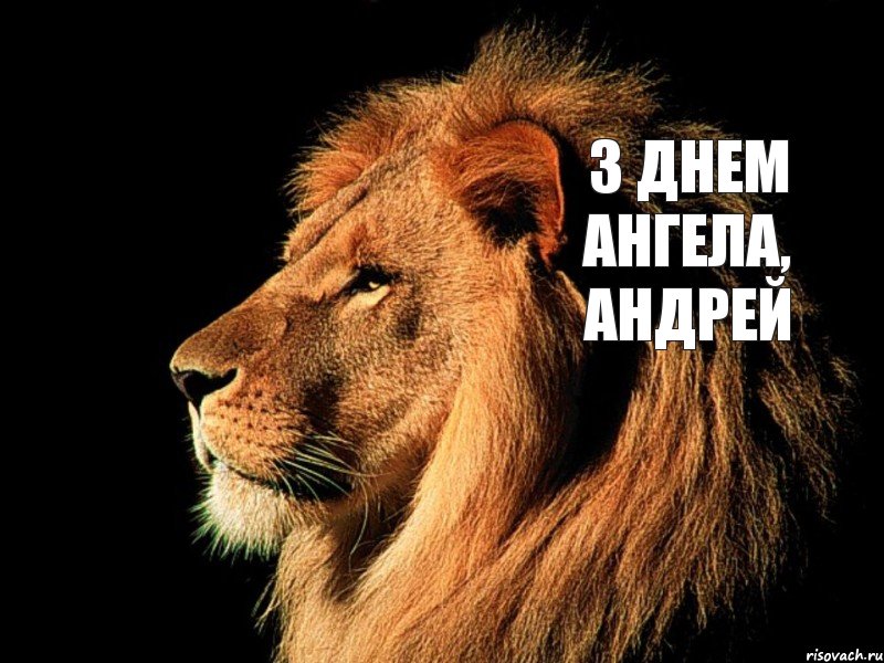З Днем Ангела, Андрей, Комикс Льова