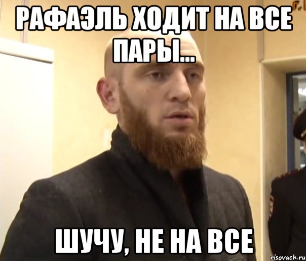 Рафаэль ходит на все пары... Шучу, не на все, Мем Шучу