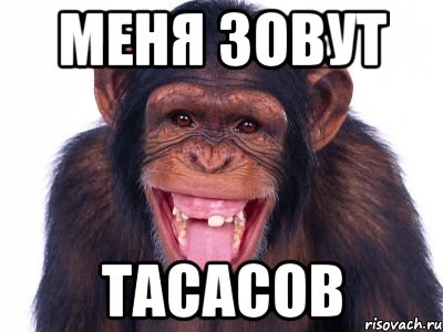 Меня зовут Тасасов, Мем мавпа