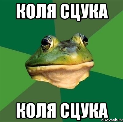 КОЛЯ СЦУКА КОЛЯ СЦУКА