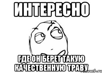 ИНТЕРЕСНО ГДЕ ОН БЕРЕТ ТАКУЮ КАЧЕСТВЕННУЮ ТРАВУ, Мем Мне кажется или