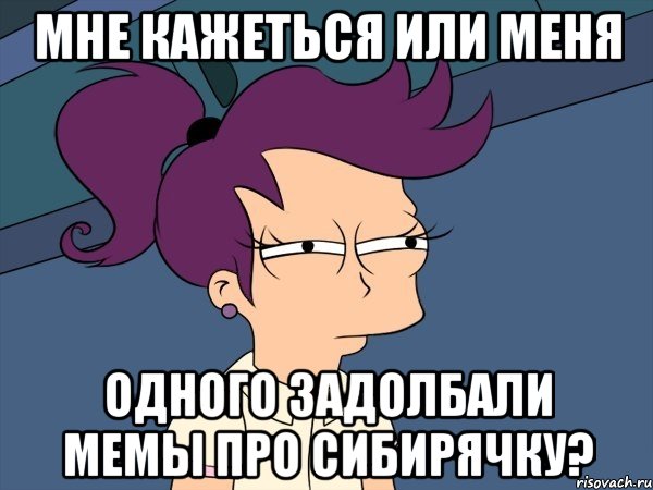 Мне кажеться или меня одного задолбали мемы про сибирячку?, Мем Мне кажется или (с Лилой)
