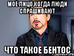 Моё лицо,когда люди спрашивают что такое бентос