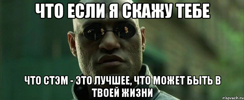 что если я скажу тебе что стэм - это лучшее, что может быть в твоей жизни, Мем  морфеус