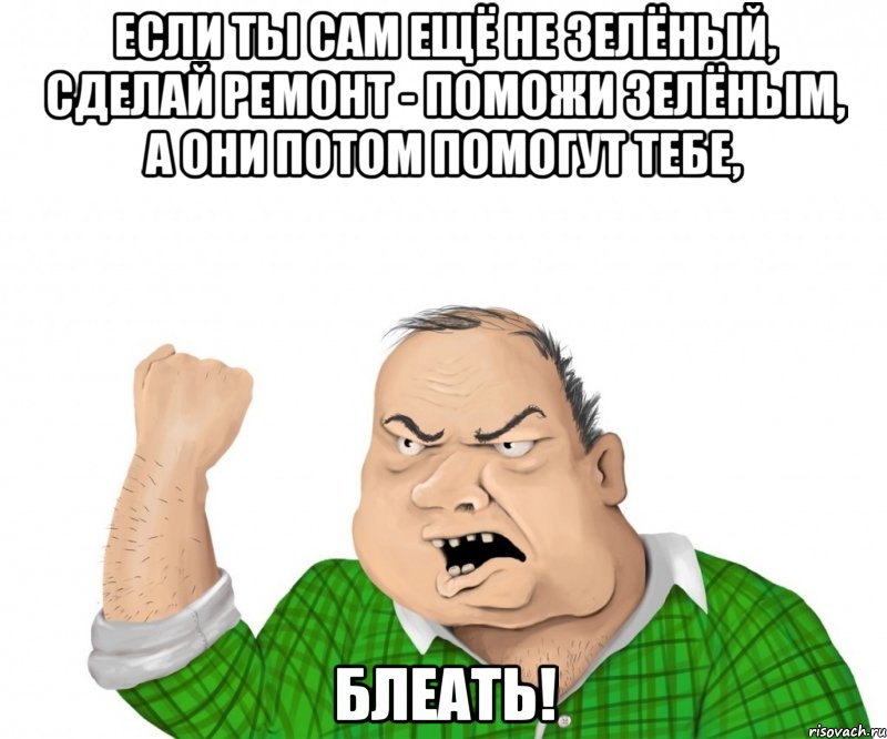 если ты сам ещё не зелёный, сделай ремонт - поможи зелёным, а они потом помогут тебе, блеать!, Мем мужик