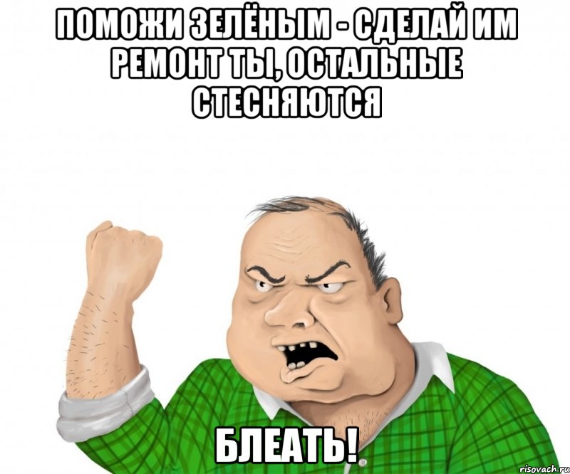 поможи зелёным - сделай им ремонт ты, остальные стесняются блеать!, Мем мужик