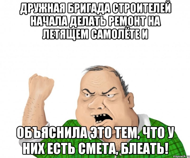 Дружная бригада строителей начала делать ремонт на летящем самолёте и объяснила это тем, что у них есть смета, блеать!, Мем мужик